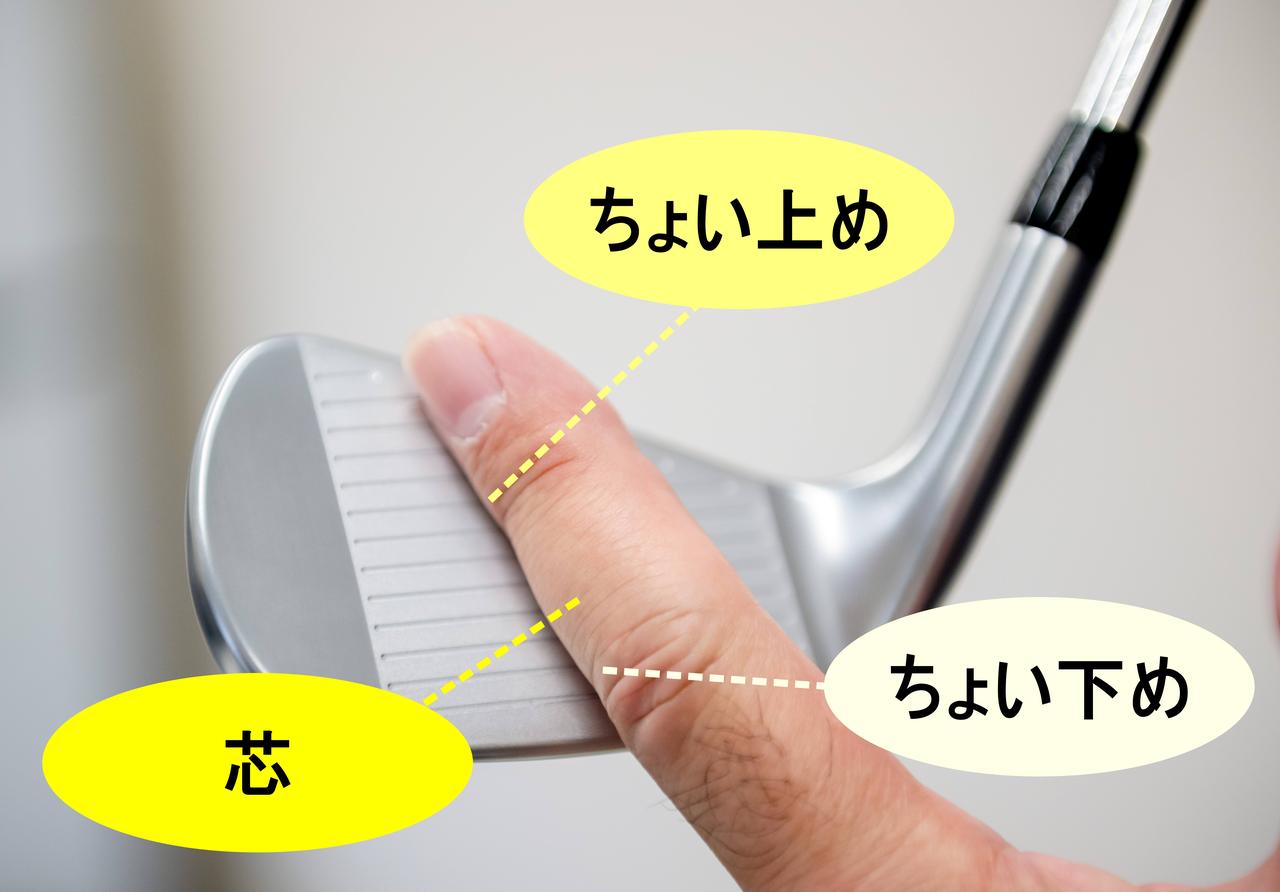 画像: Bタイプの寛容性はAタイプより高く、Cタイプよりも低い