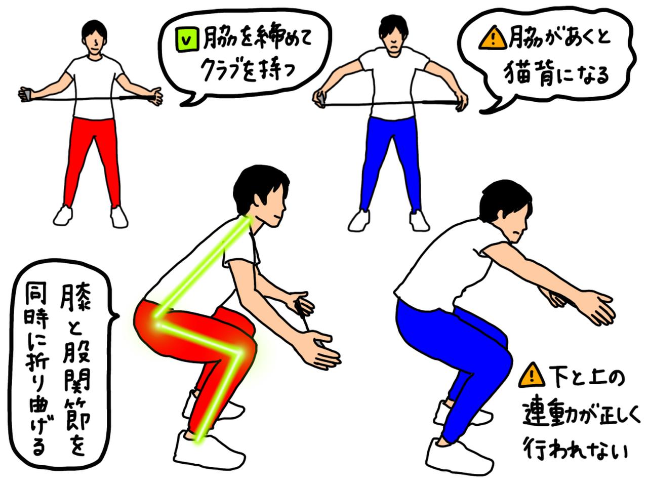 画像: イラストC:下半身から上半身への連動性を学べるスクワットドリルの手順。右のように猫背にならないよう注意しよう