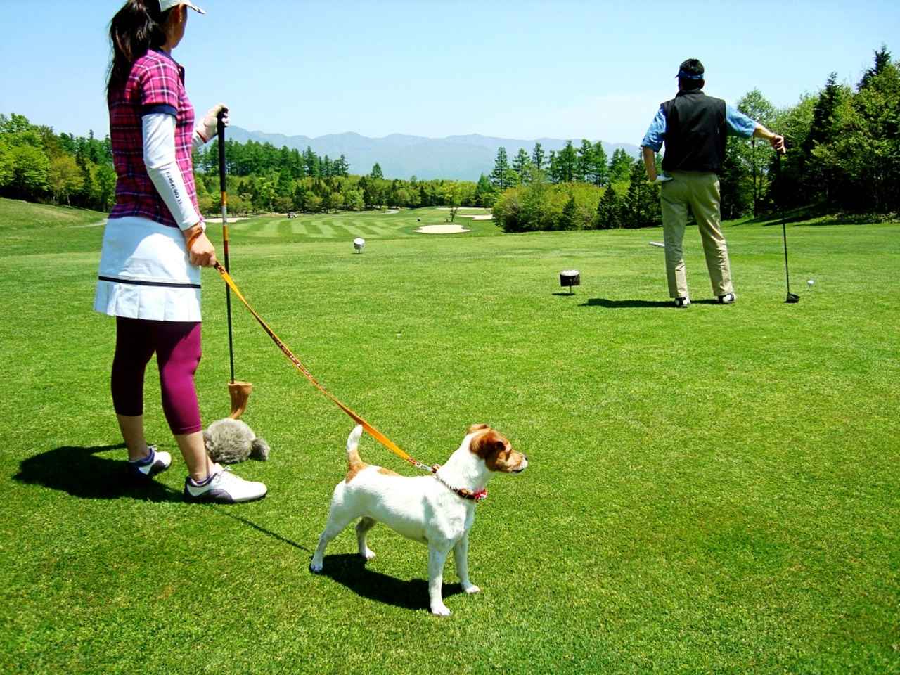 画像: 「わんわん友の会」設立から10年! きぬがわ高原CCが愛犬家ゴルファーに贈る“究極の競技”とは? - みんなのゴルフダイジェスト