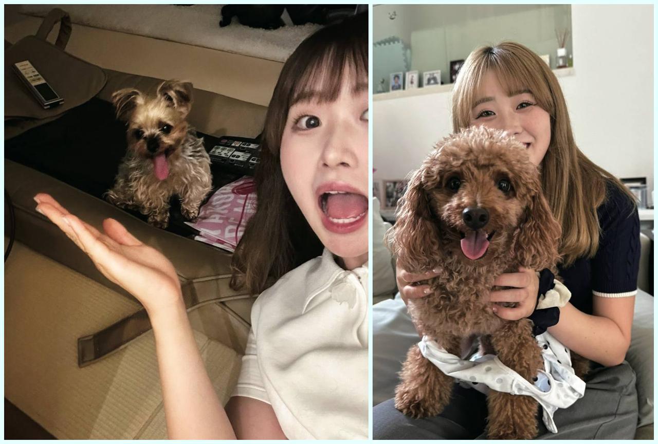 画像: 左:ココちゃん/「人懐っこい性格で、私のことが大好きなんです(笑)。大食いでいっぱい食べます」 右:スリくん/「ビビリだけどやんちゃな性格。男の人が苦手みたいだけど、ママのことが大好きなんです」