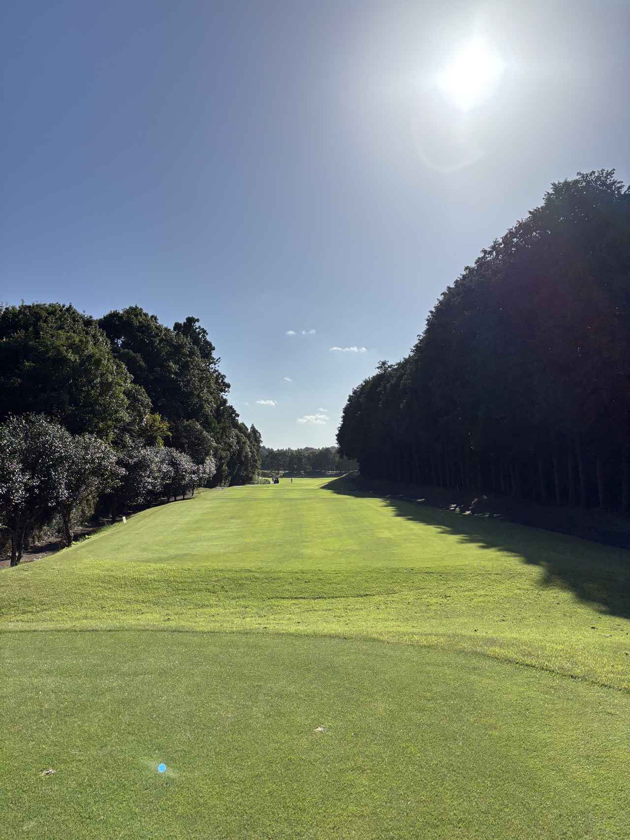 画像 : 成田の森CCの思い出②