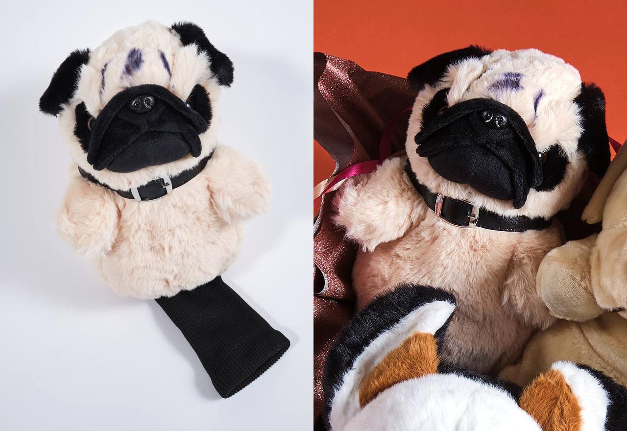 画像3: FROM:ホクシン交易