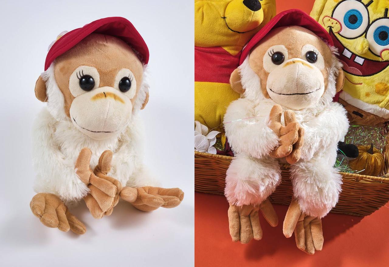 画像2: FROM:ゴルフイット