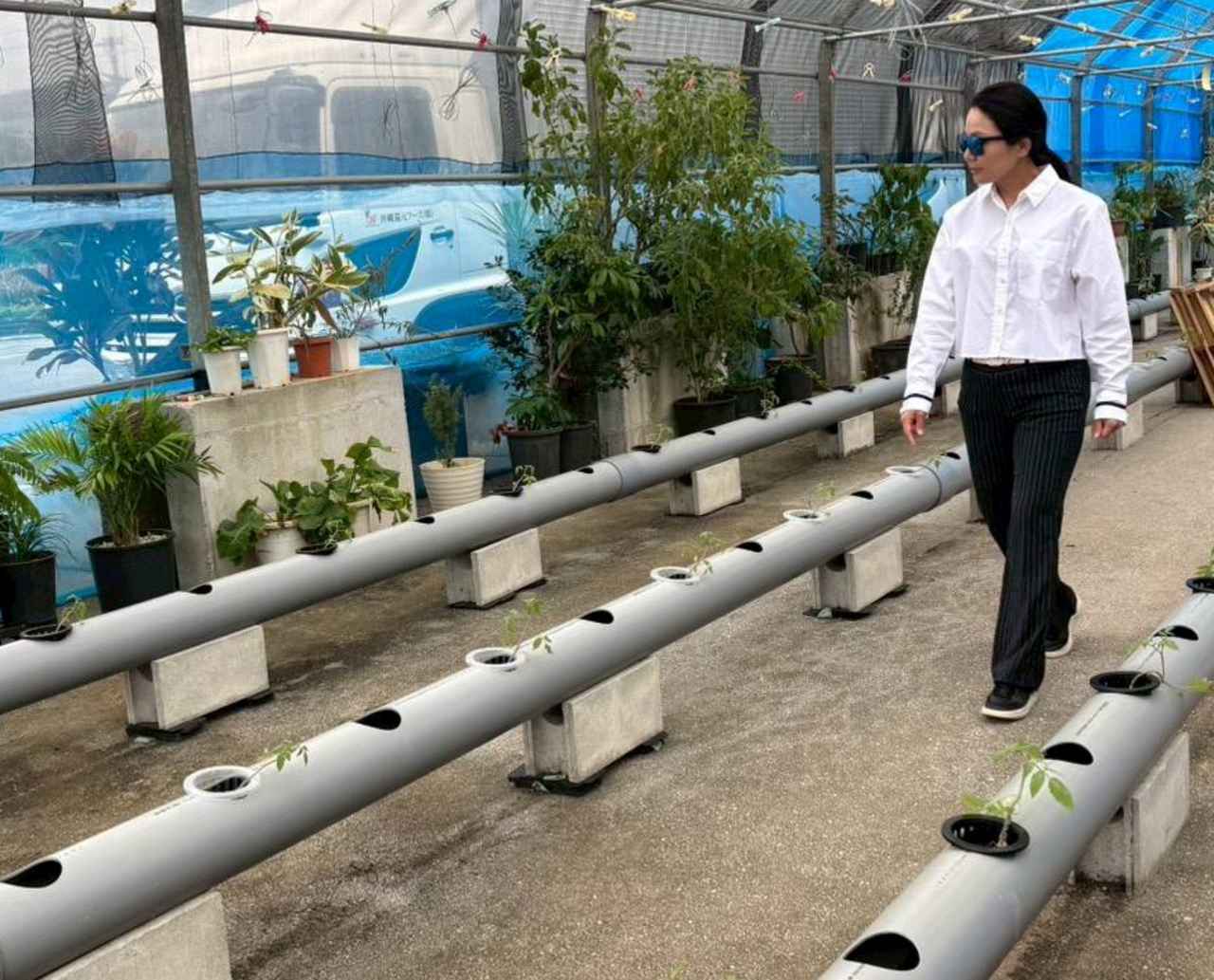 画像 : 4番目の画像 - 彩子が撮影！ 地元や中国での写真 - みんなのゴルフダイジェスト