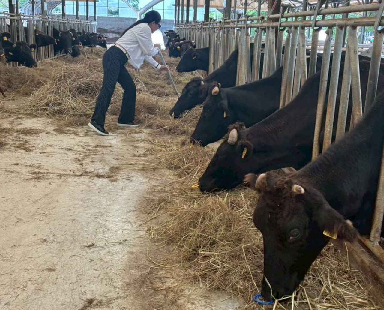 画像 : 3番目の画像 - 彩子が撮影！ 地元や中国での写真 - みんなのゴルフダイジェスト