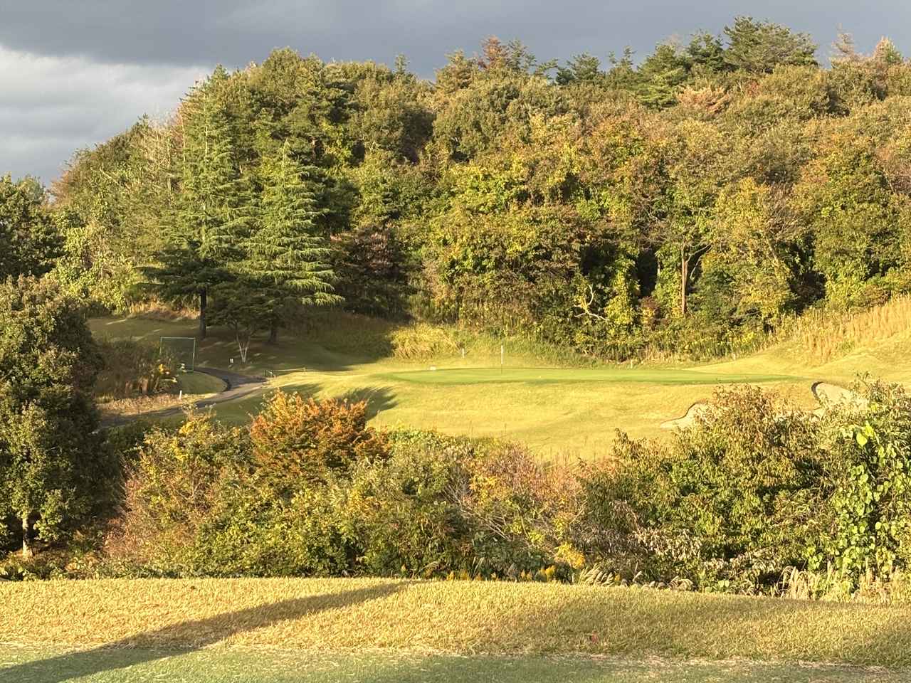 画像: おおさとゴルフ倶楽部No.15(140Y・P3)