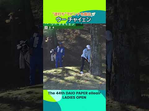 画像1: 【ナイス！】ピンチを“逆打ち”で脱出するウーチャイェン | 第44回大王製紙エリエールレディスオープン - Round3 www.youtube.com