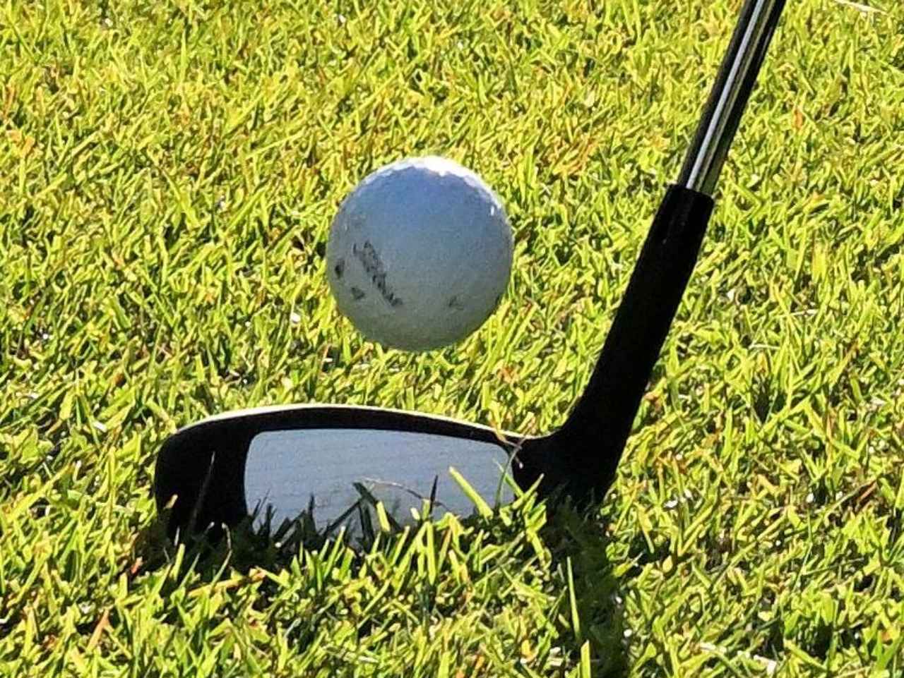 画像: パター型