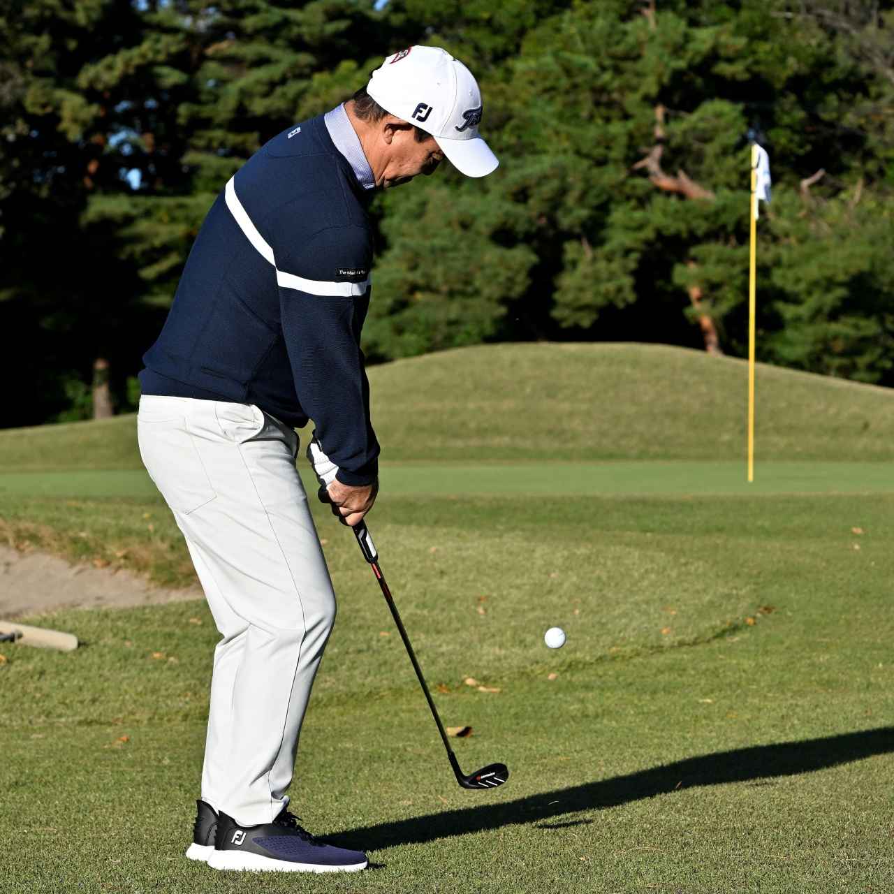 画像: とにかくやさしい