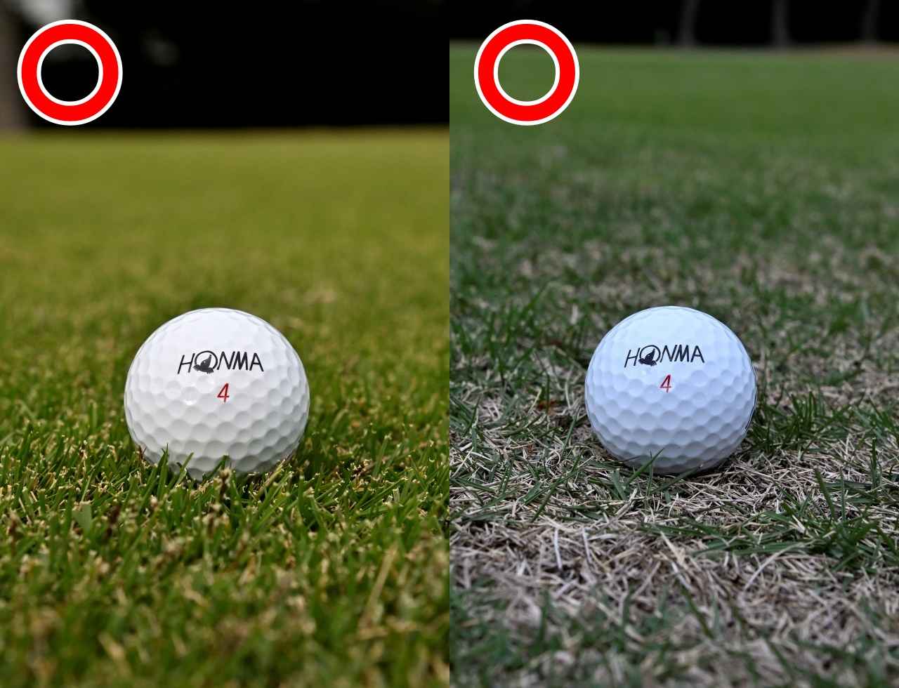 画像: 画像左/いいライ、画像右/悪いライ