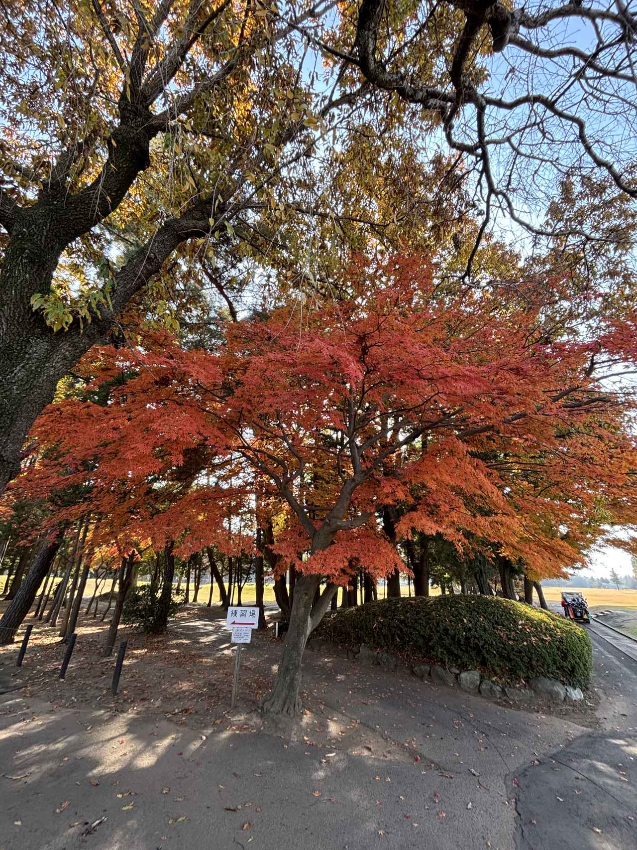 画像 : 鎌ヶ谷CCの思い出③