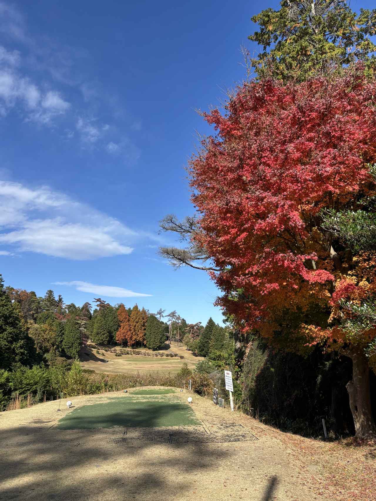 画像 : 日立GCの思い出③