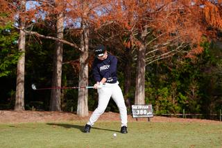 P6 ハーフウェイダウン