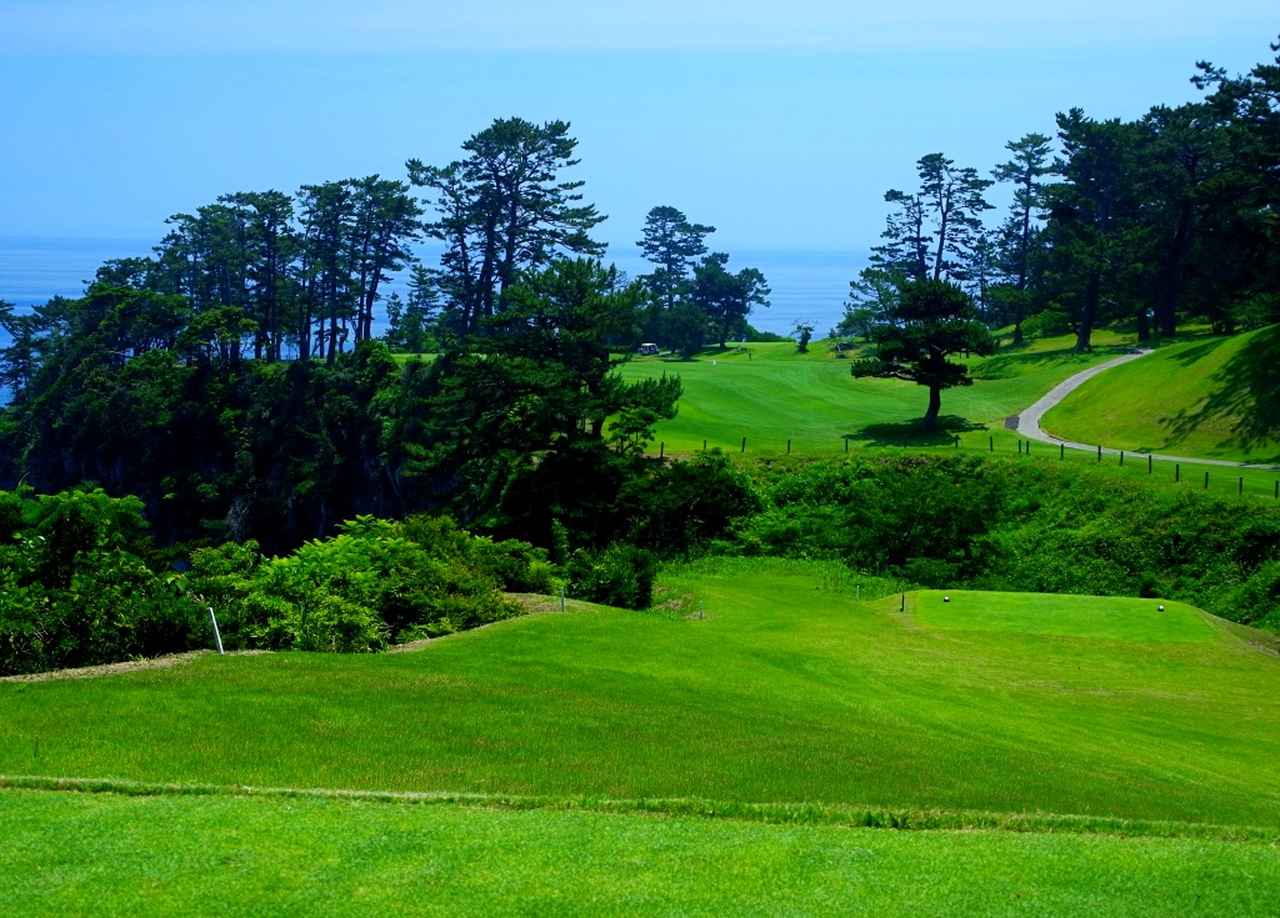 画像: 日本の美しいゴルフ場が「松枯れ」で景観一変の危機！ 感染したら止まらない“線虫”の驚異と対策の難しさ【ラウンド中の小ネタに使えるゴルフ知識 #42】 - みんなのゴルフダイジェスト