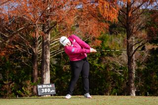 P8（シャフトが地面と平行）