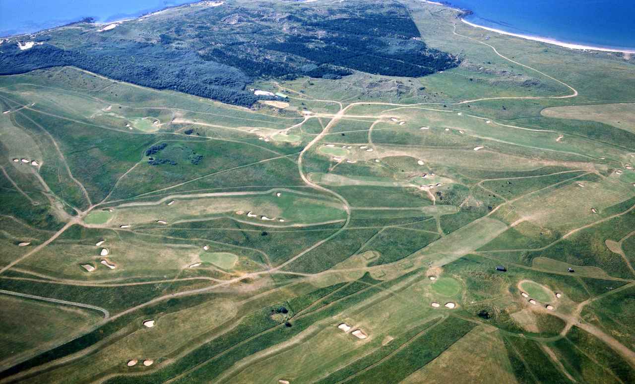 画像: ミュアフィールド