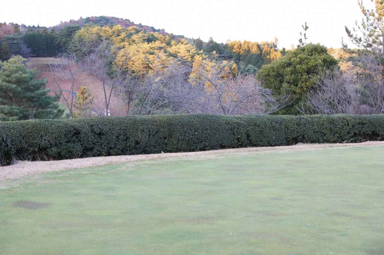 画像: 冬ゴルフの難しさは時間帯による「コースの変化」！ プレー中、とくに注意したいポイントを解説【100切り】 - みんなのゴルフダイジェスト