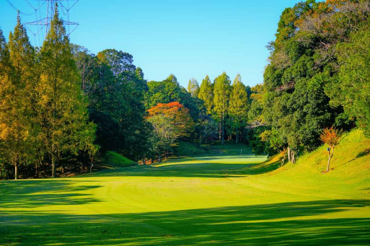 画像: 豪華海鮮に本格中華!　ゴルフ場とは思えない絶品ランチが味わえる千葉の2コース |