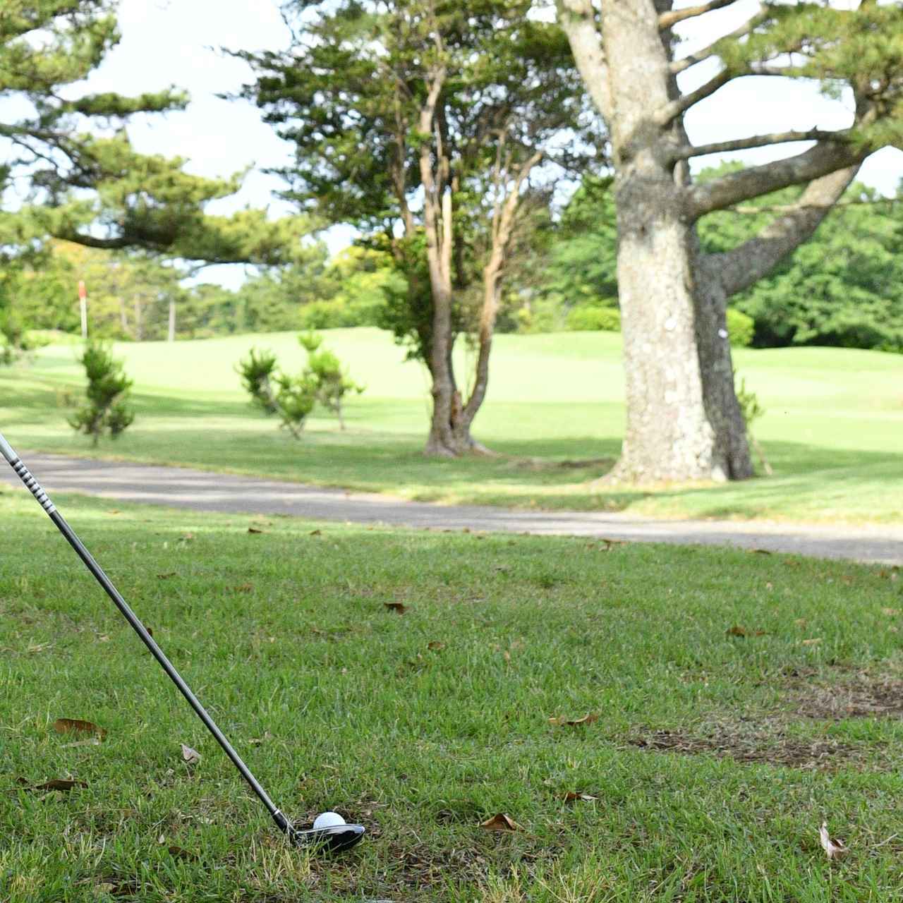 画像: ミスの確率を低く見積もっているゴルファーは多いと後藤。例えば林からのショットでも「グリーン方向は諦めて安全なほう」ではなく、狭くても「木の間を通すピンへの最短ルート」を選びがちだという(写真はイメージ 撮影/増田保雄)