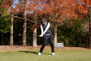 P6（シャフトが地面と平行）