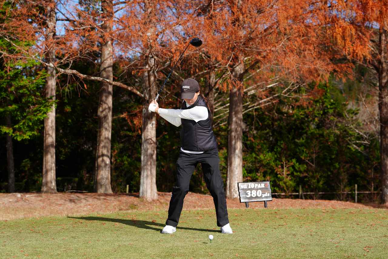 画像 : P5（左腕が地面と平行）