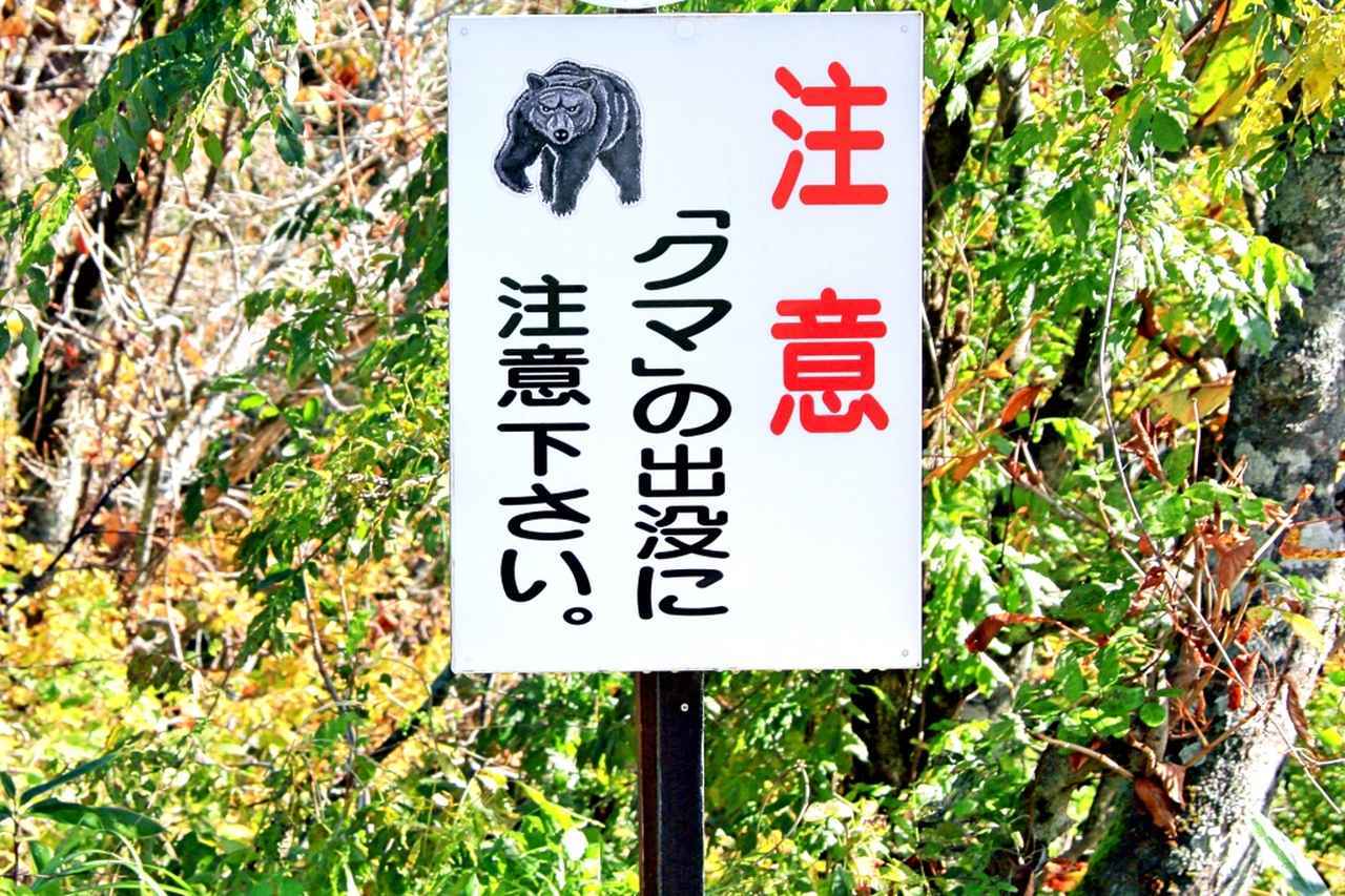 画像: 「安全第一」で大会短縮！ クマ目撃情報から「通常営業」へ、ゴルフ場支配人が語る“攻防” - みんなのゴルフダイジェスト