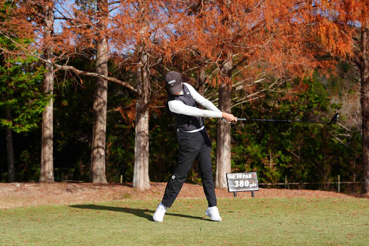 画像 : P8（シャフトが地面と平行）