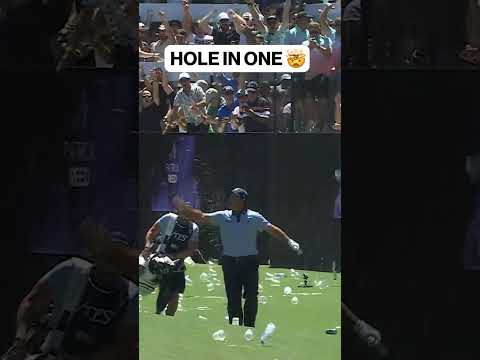 画像: HOLE IN ONE!! PATRICK REED ACES HOLE 12 AT LIV GOLF ADELAIDE #golf #liv #livgolf #tigerwoods #lefty youtube.com