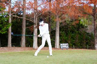 P6（シャフトが地面と平行）