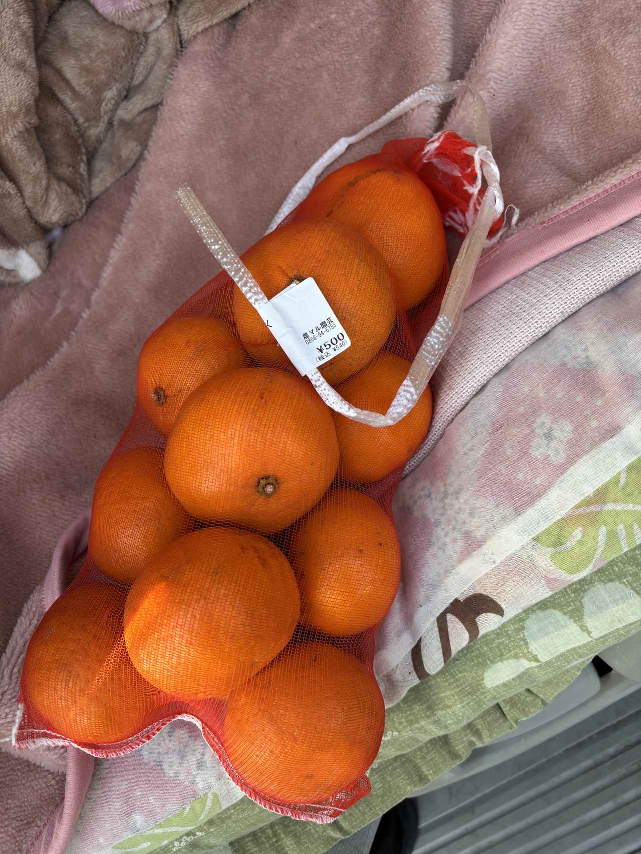 画像 : 農マル園芸吉備路農園の思い出①