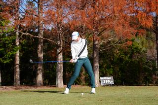 P6（シャフトが地面と平行）