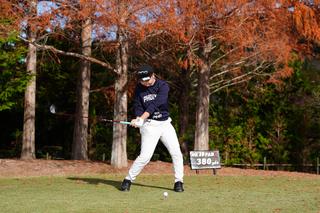 P6（シャフトが地面と平行）