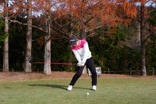 P6（シャフトが地面と平行）