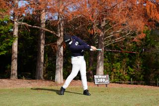 P8（シャフトが地面と平行）