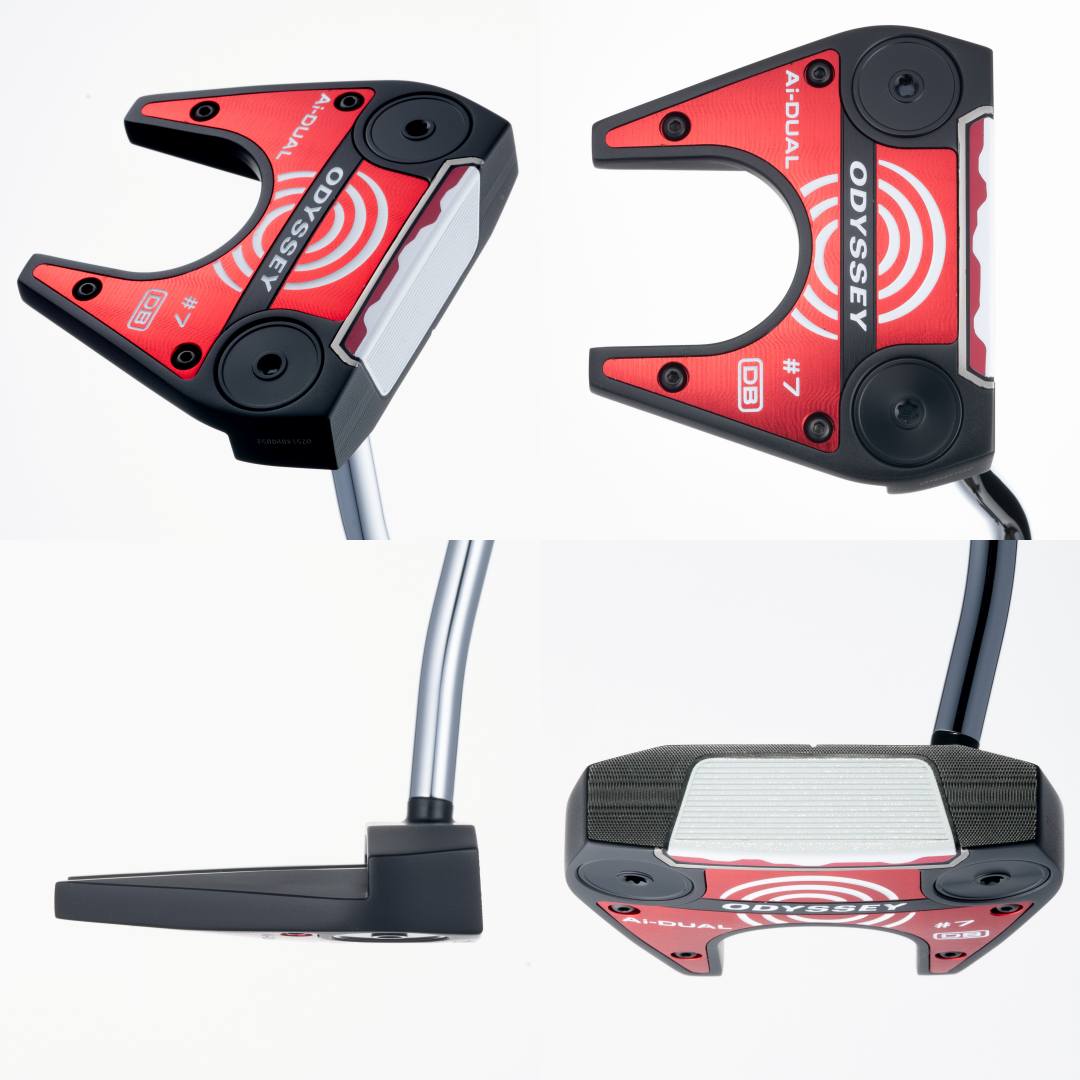 画像: 「Ai-DUAL」