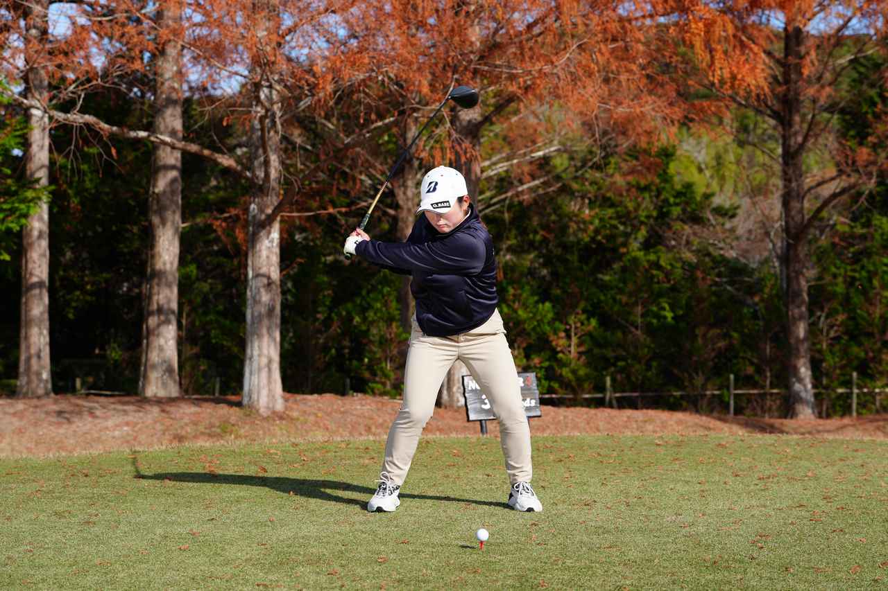 画像 : P5（左腕が地面と平行）