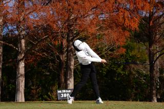 P8（シャフトが地面と平行）