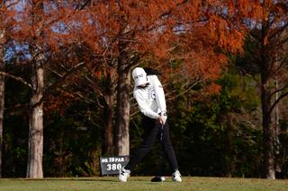 P7（インパクト）