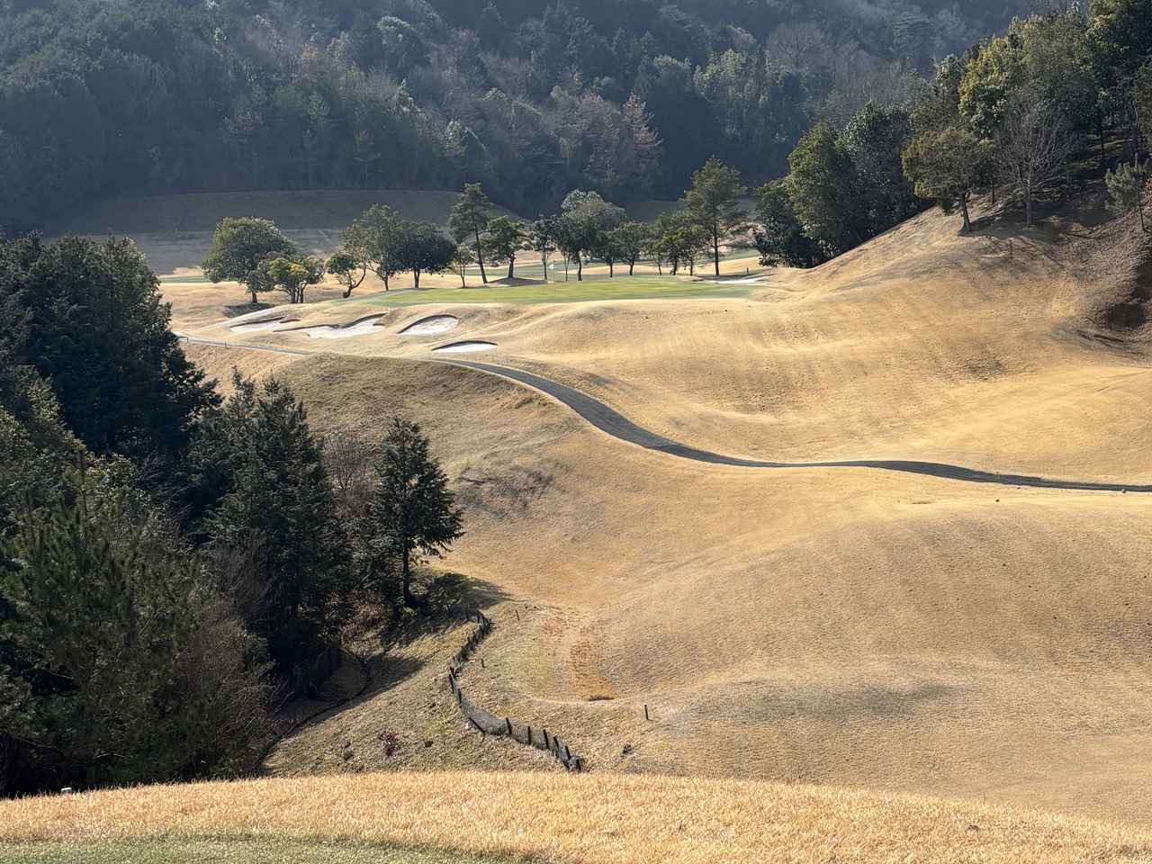 画像: タカガワ新琴南ゴルフ倶楽部 No.17（164Y・P3）