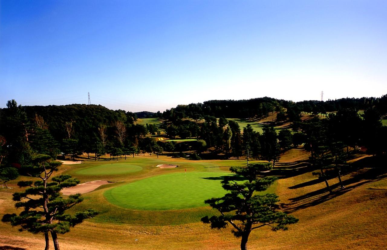 画像: チャリティーコンペが行われた東京よみうりCC。参加費は1名3万5000円で、保護犬・保護猫ボランティア団体に寄付された