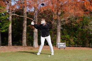 P5（左腕が地面と平行）