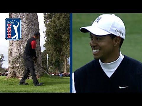 画像: Tiger Woods' all-time best shots at Riviera | The Genesis Invitational www.youtube.com