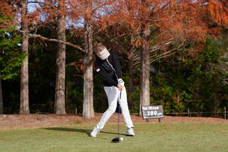 P7（インパクト）