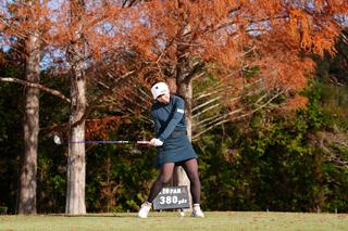 P6（シャフトが地面と平行）