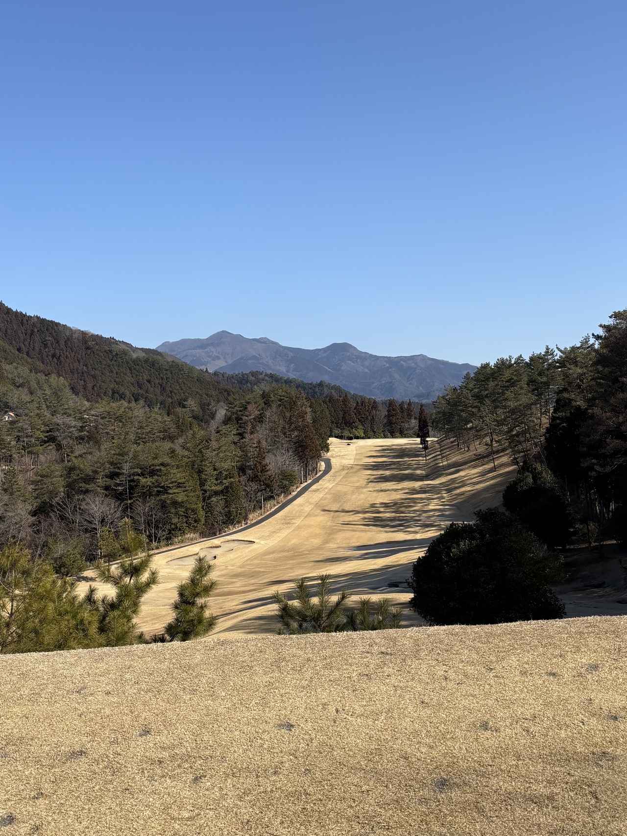 画像 : 高原GCの思い出