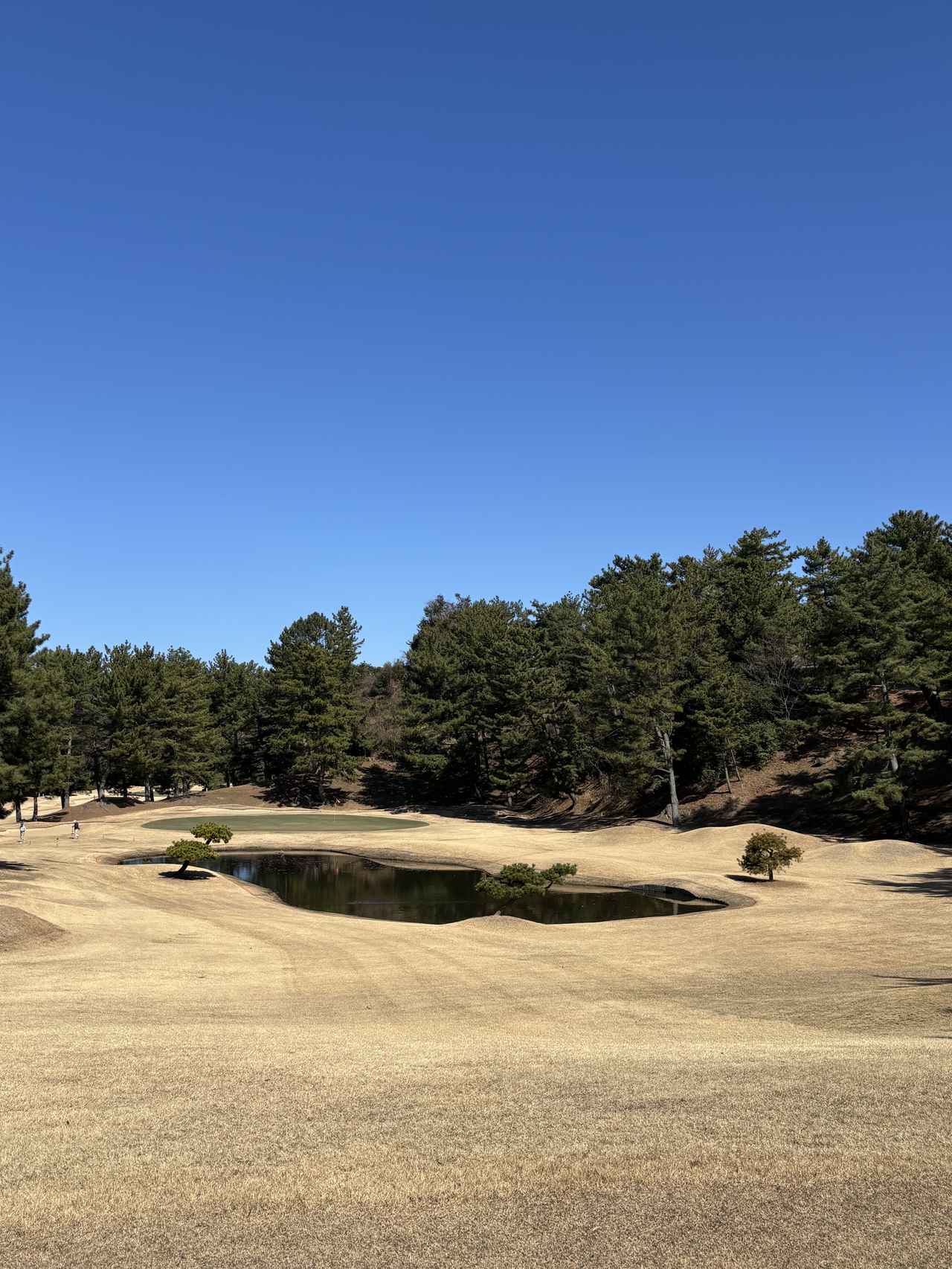 画像 : 新居浜CCの思い出①