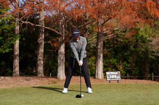 P1（アドレス）