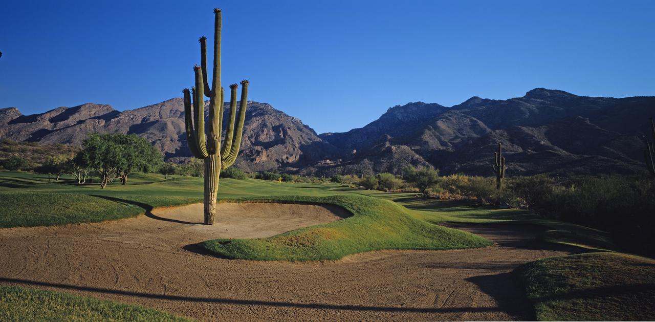 画像: 片道8時間超の強行突破！1枚の写真に魅せられて挑んだ「ロウズ・ベンタナキャニオン」【ラウンド中の小ネタに使えるゴルフ知識 #50】 - みんなのゴルフダイジェスト