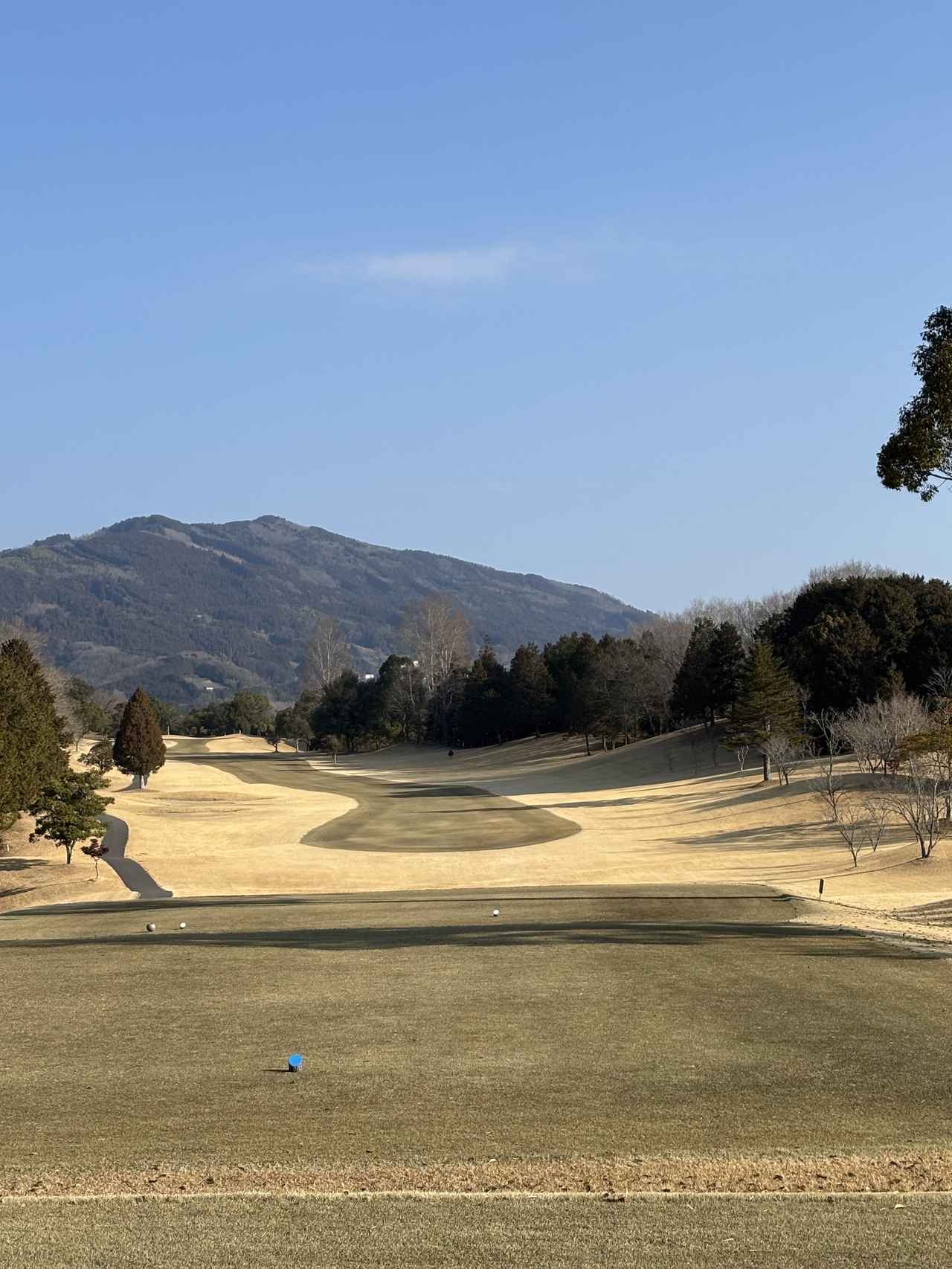 画像 : 愛媛GCの思い出