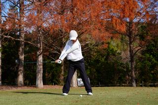 P2（シャフトが地面と平行）